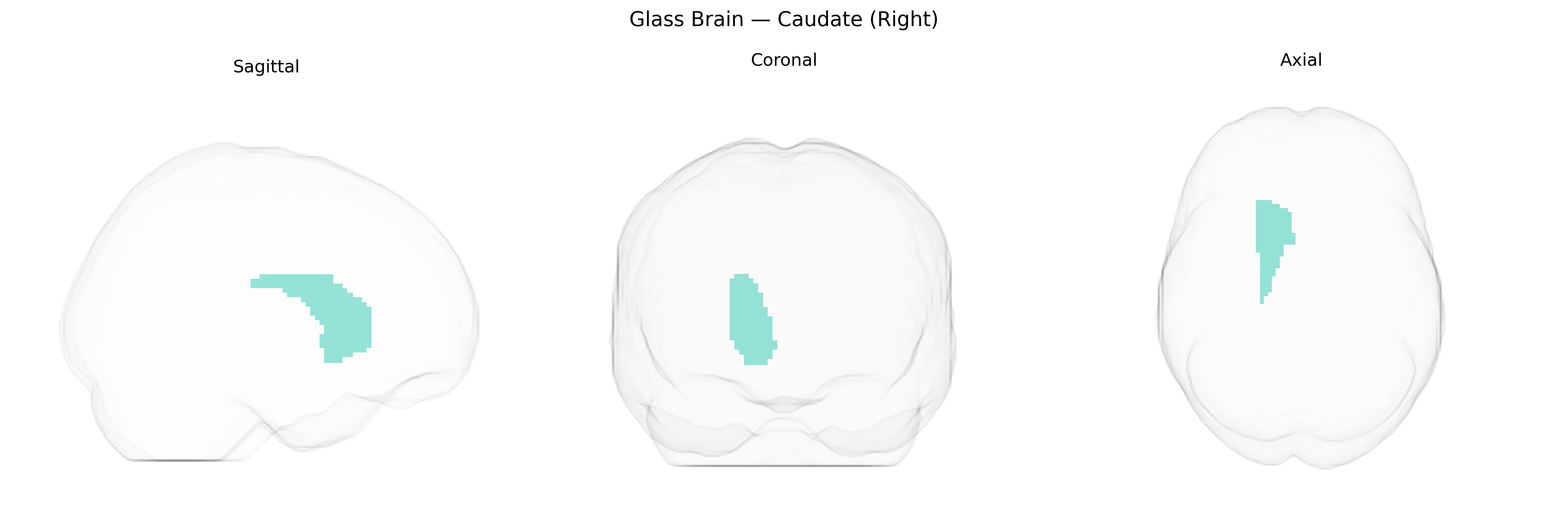 Triplanar Ghost Brain