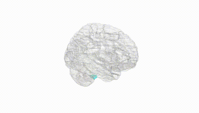 Hemisphere White