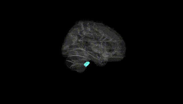 Hemisphere Black