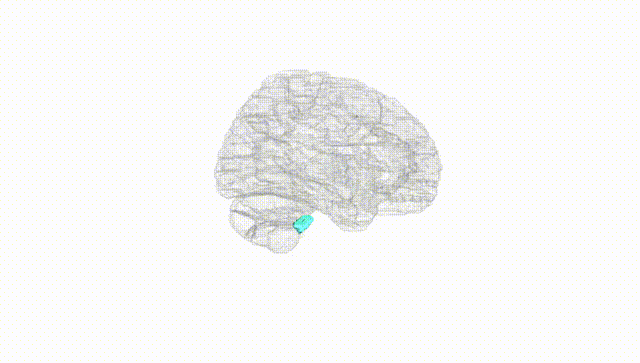 Hemisphere White