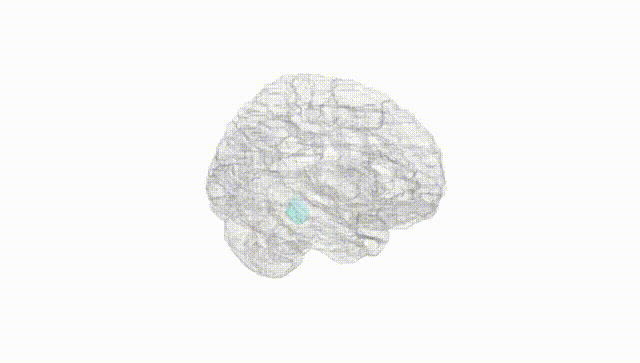 Hemisphere White