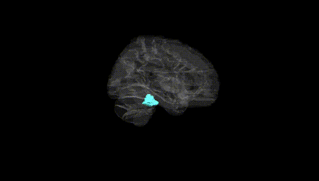 Hemisphere Black