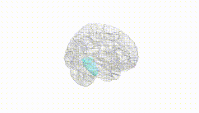 Hemisphere White