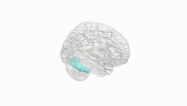Hemisphere White