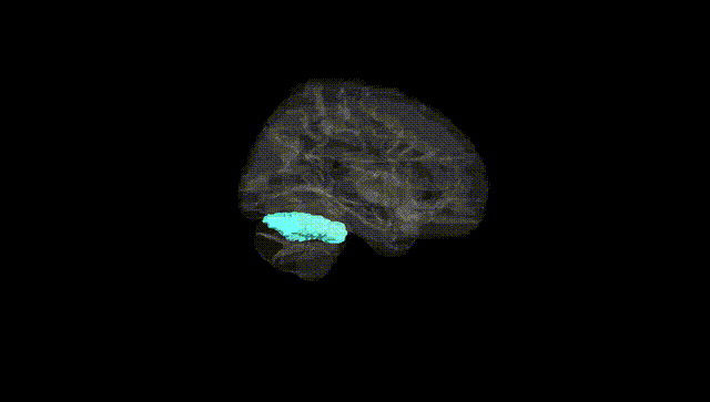 Hemisphere Black