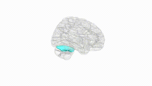 Hemisphere White