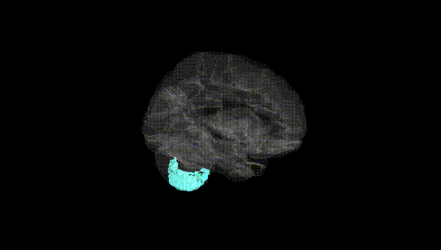 Hemisphere Black