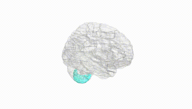 Hemisphere White