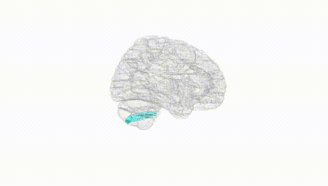Hemisphere White