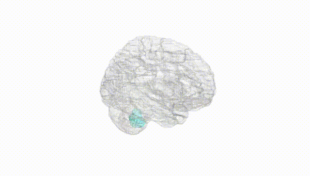 Hemisphere White