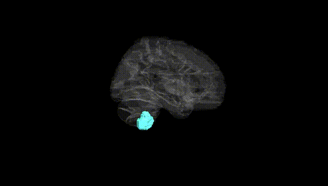 Hemisphere Black