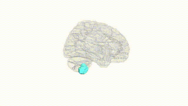 Hemisphere White
