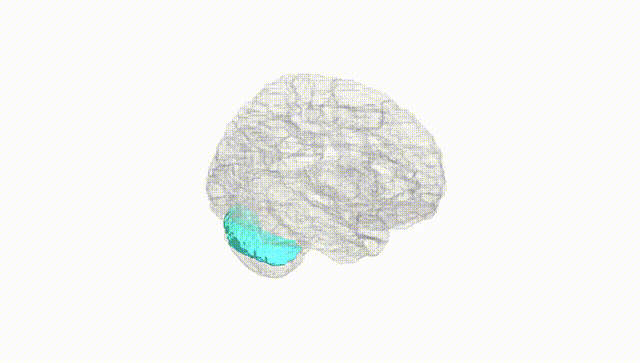 Hemisphere White