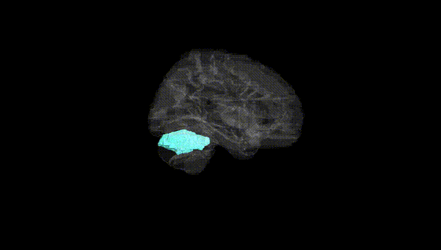 Hemisphere Black