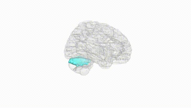 Hemisphere White
