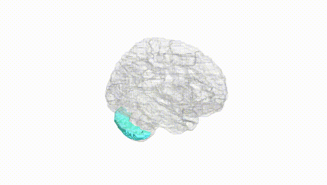 Hemisphere White