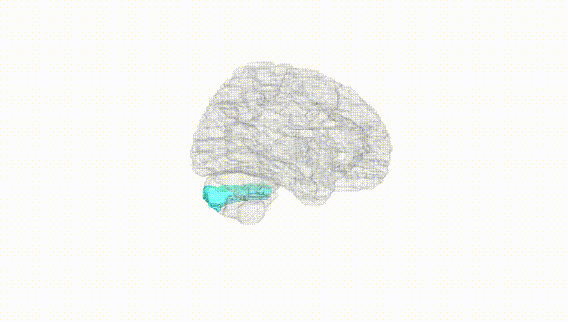 Hemisphere White