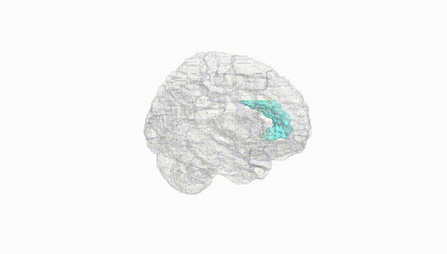 Hemisphere White