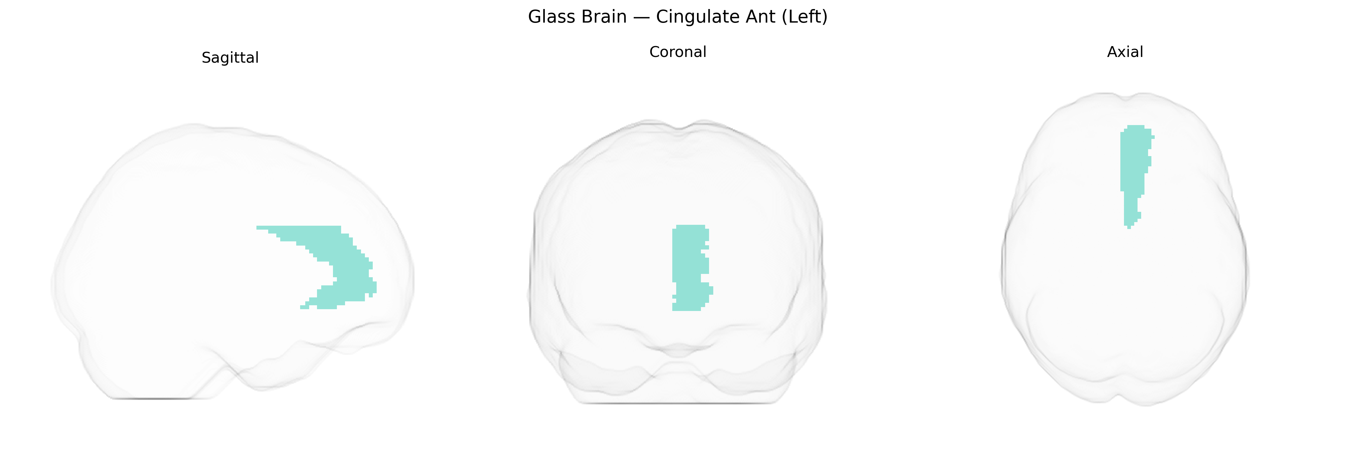 Triplanar Ghost Brain