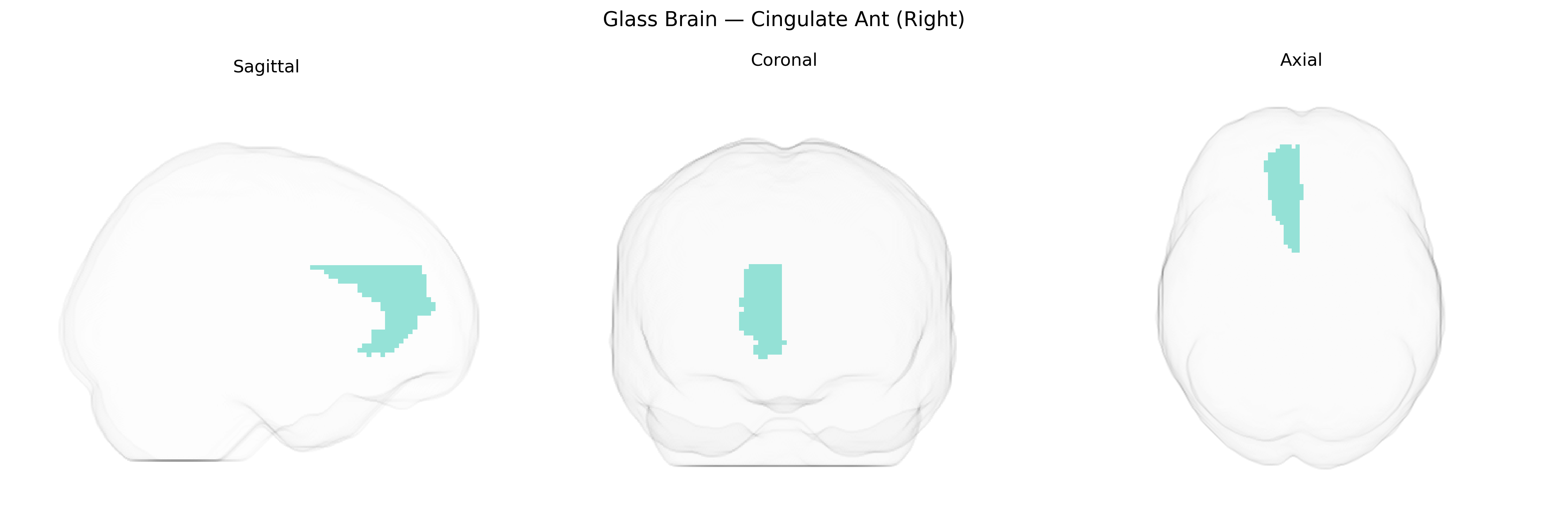 Triplanar Ghost Brain