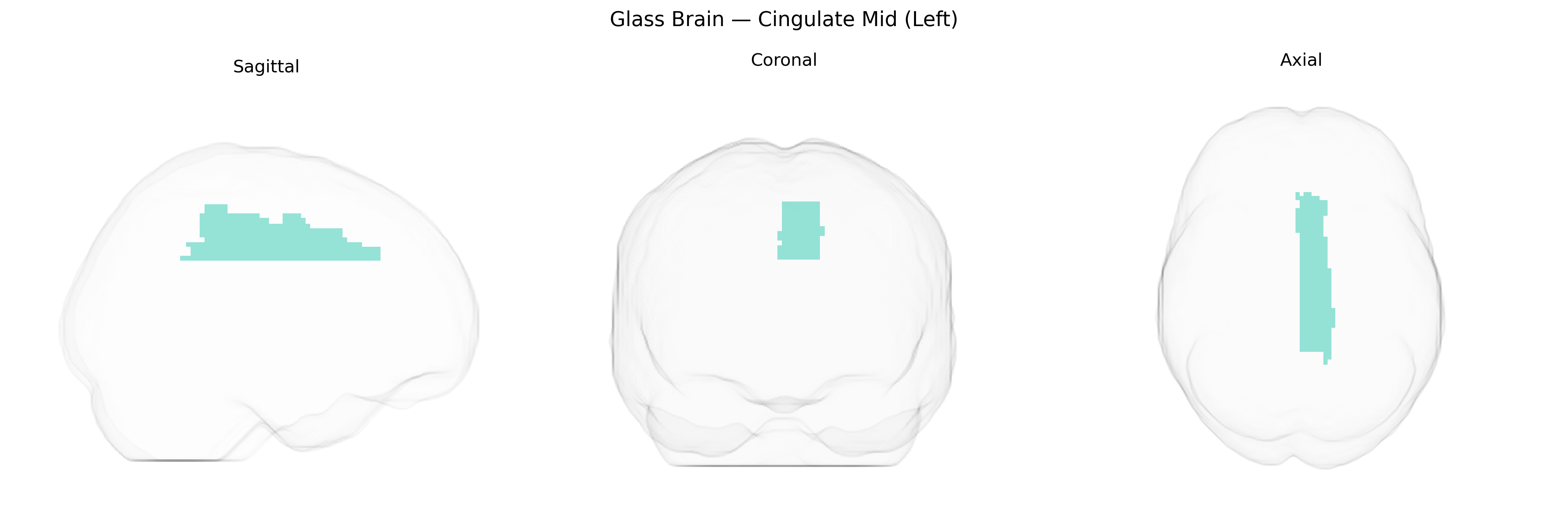 Triplanar Ghost Brain