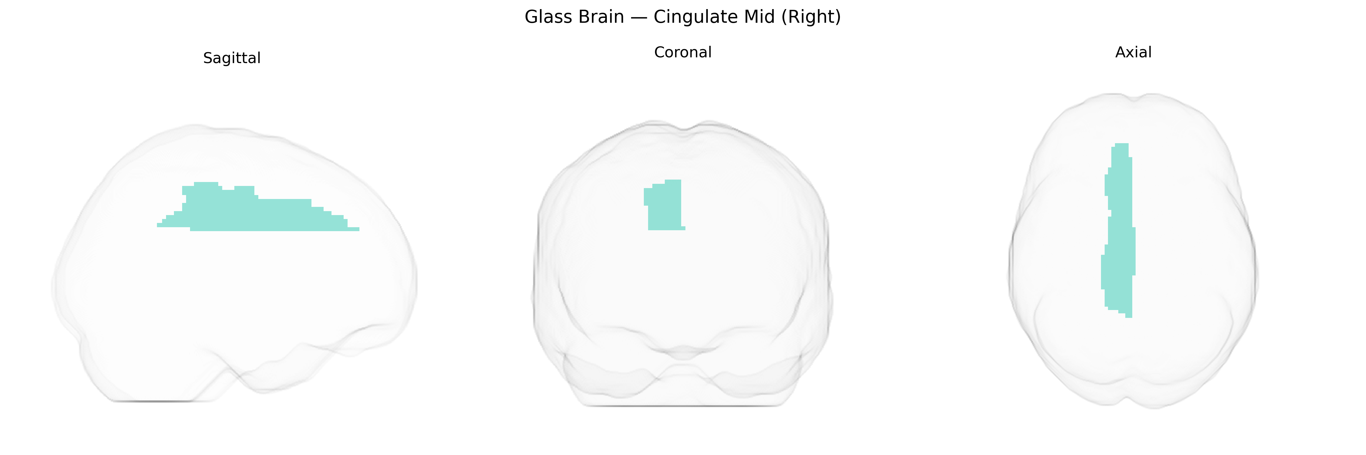 Triplanar Ghost Brain