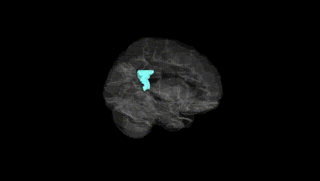 Hemisphere Black