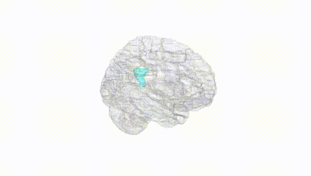 Hemisphere White