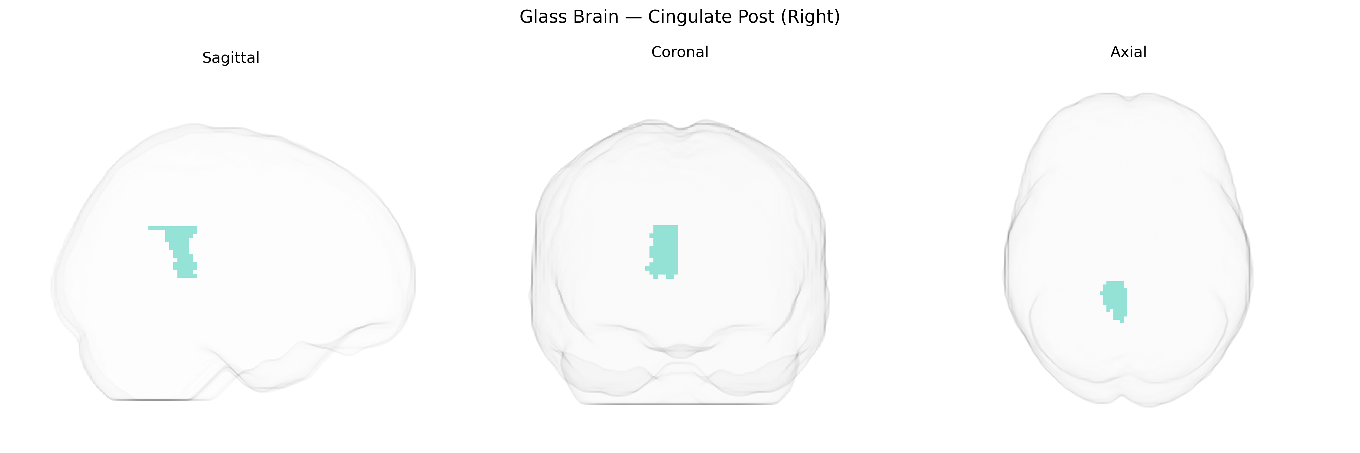 Triplanar Ghost Brain