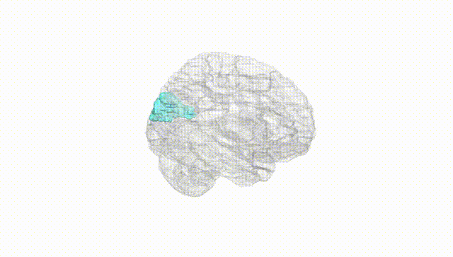 Hemisphere White