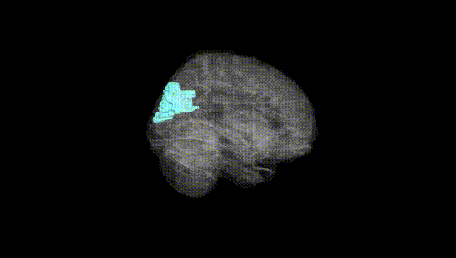 Full Brain Black