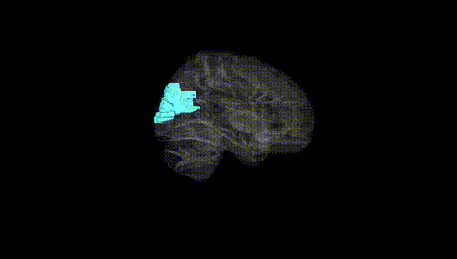 Hemisphere Black