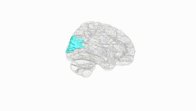 Hemisphere White