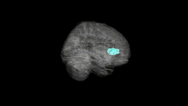 Full Brain Black