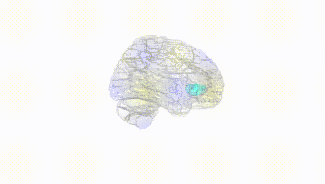 Hemisphere White