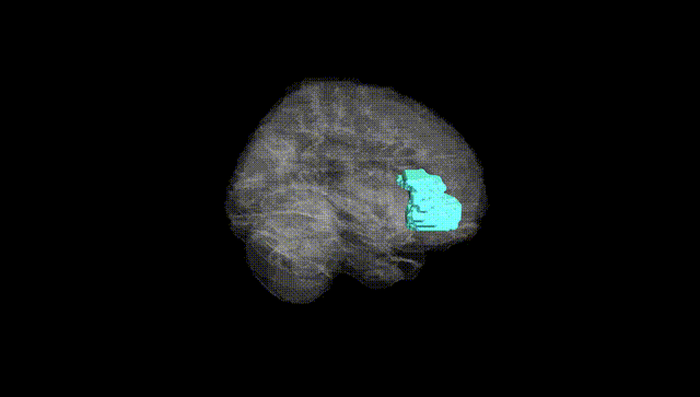 Full Brain Black