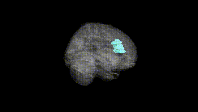 Full Brain Black
