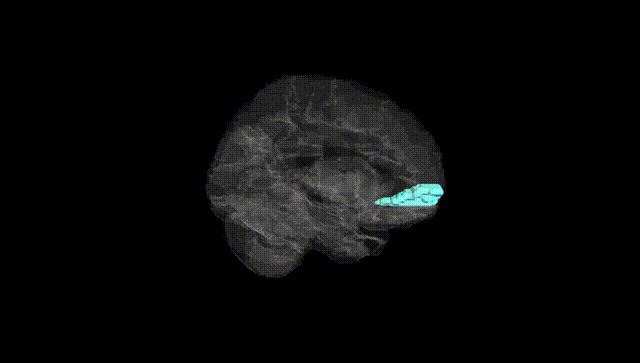 Hemisphere Black
