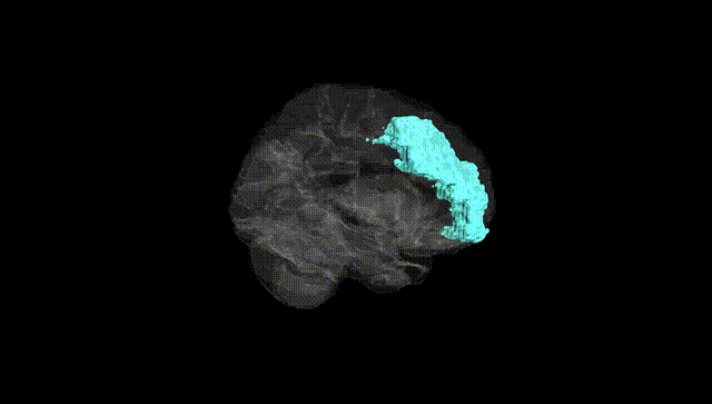 Hemisphere Black