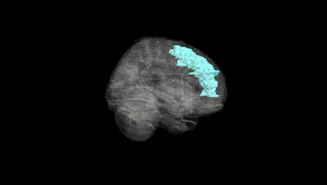 Full Brain Black
