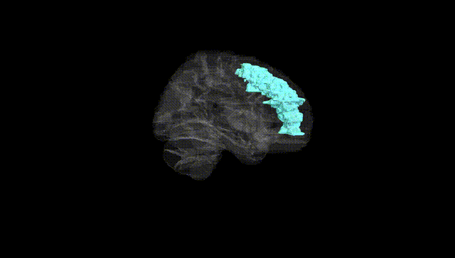 Hemisphere Black