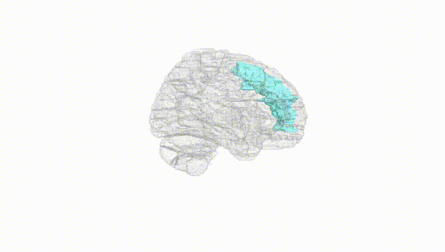 Hemisphere White