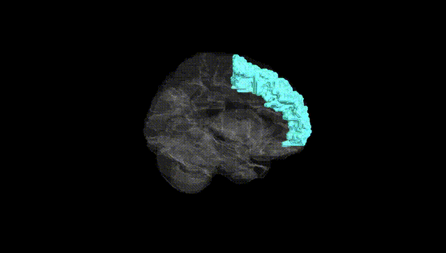 Hemisphere Black