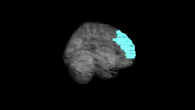 Full Brain Black
