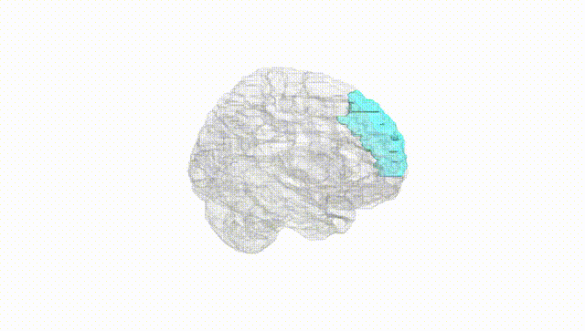 Hemisphere White