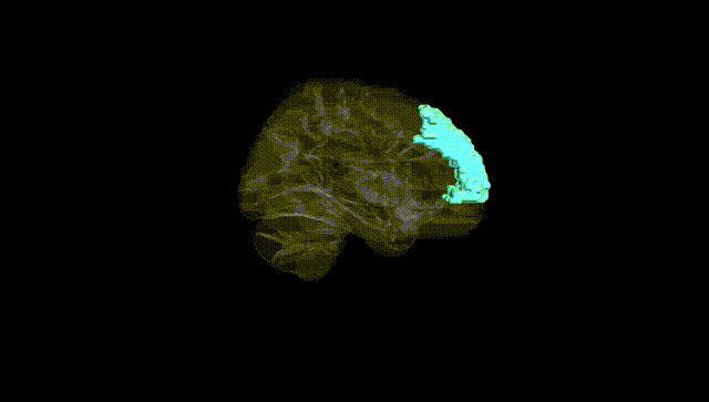 Hemisphere Black