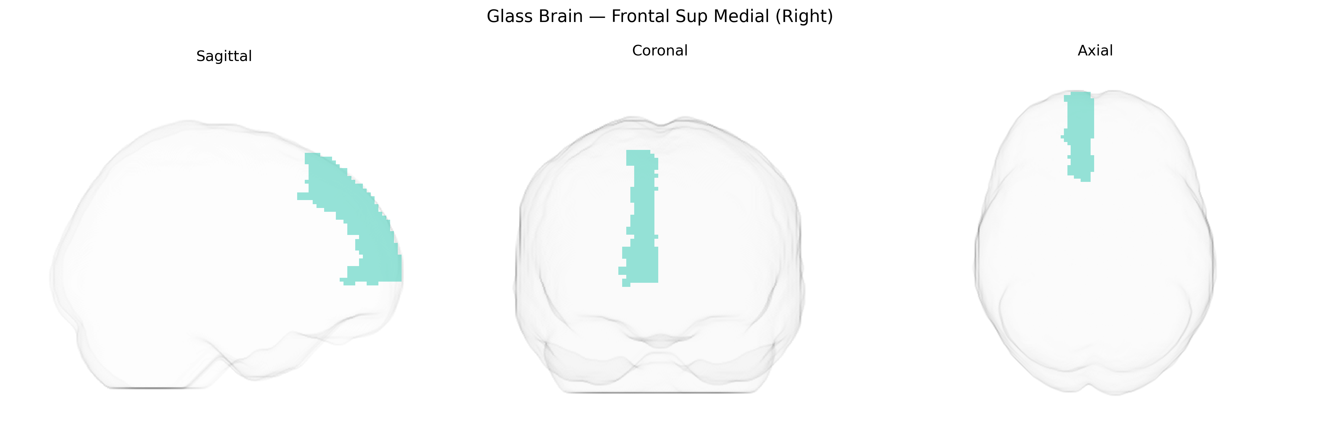 Triplanar Ghost Brain