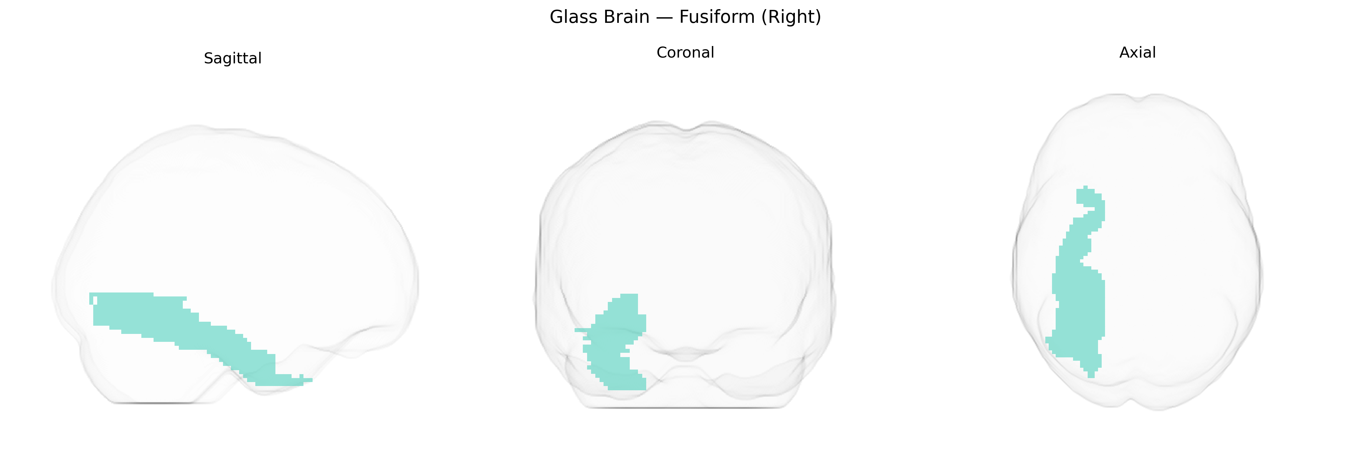 Triplanar Ghost Brain