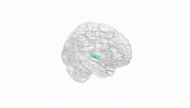 Hemisphere White