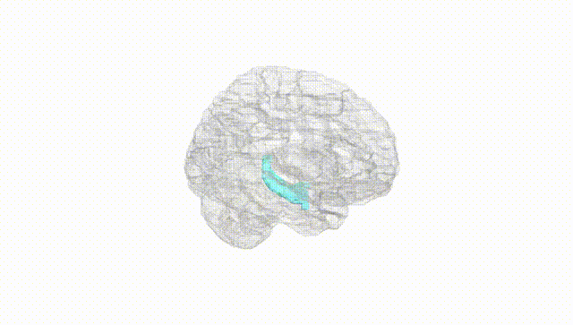 Hemisphere White
